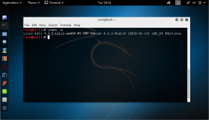 kali-rolling-screenshot