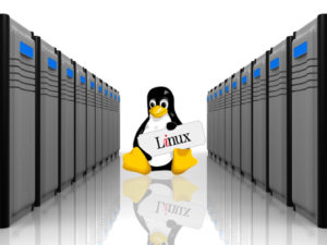 linux server