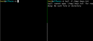 tas_1_generic-keylogger