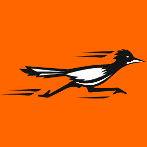 Rabid - A CLI Tool And Library Allowing To Simply Decode All Kind Of BigIP Cookies 17 logo