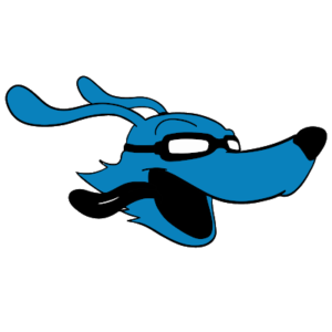 nfstream_1_logo_main