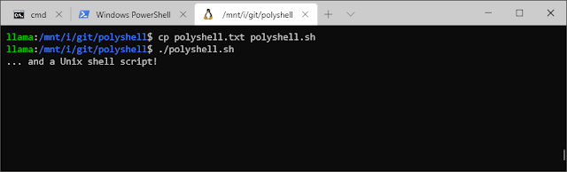 polyshell 3 shell