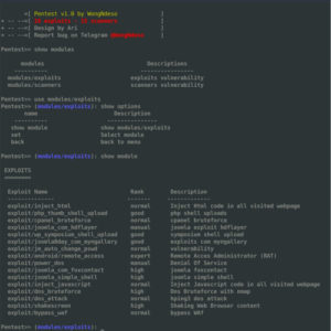 Pentest Tools Framework 10 exploit