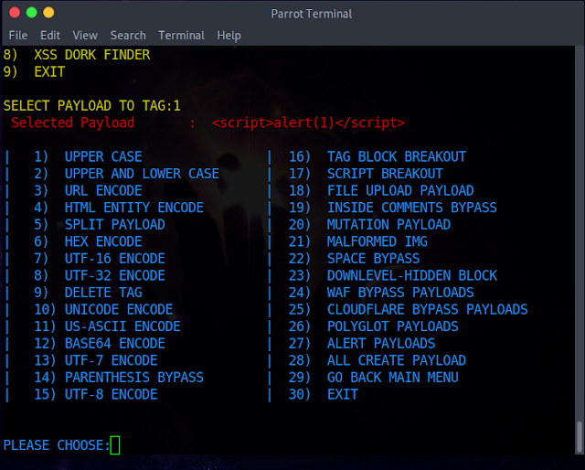 XSS LOADER 4