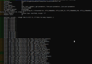 extended-ssrf-search_2