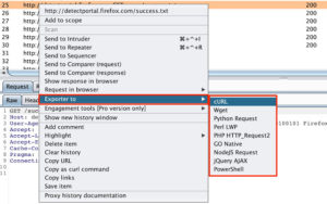 burp exporter 1 Screenshot Exporter 01