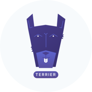 terrier_1