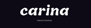 Carina - Webshell, Virtual Private Server (VPS) And cPanel Database 21 carina_1