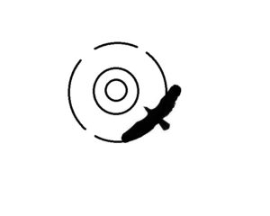 HawkScan 1 logo