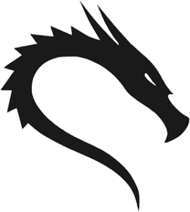 Kali Linux Tools Interface 5 logo