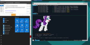 capsulecorp-pentest_1
