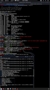 hackerEnv_5