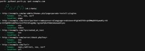 Parth - Heuristic Vulnerable Parameter Scanner 8 Parth_4