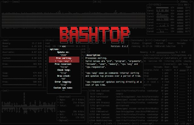 bashtop 16 options