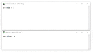 croc_5_customization