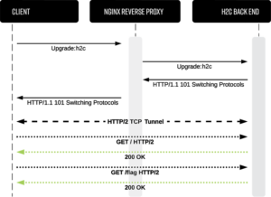 h2csmuggler_3_diagram