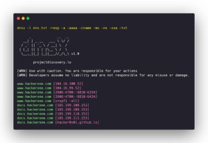 dnsx_8_dnsx-run