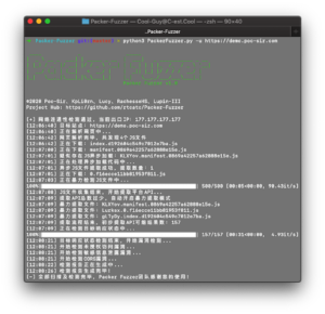 Packer-Fuzzer_6_demo-terminal