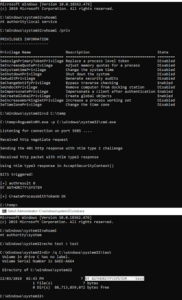 RogueWinRM_1