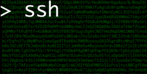 Ssh-Mitm - Ssh Mitm Server For Security Audits Supporting Public Key Authentication, Session Hijacking And File Manipulation 5 Ssh-Mitm