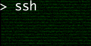 Ssh Mitm