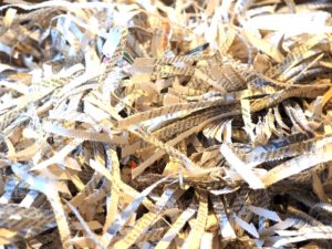 shredder-779853_1920