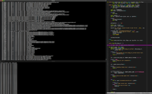 xnuspy_1_open1_hook
