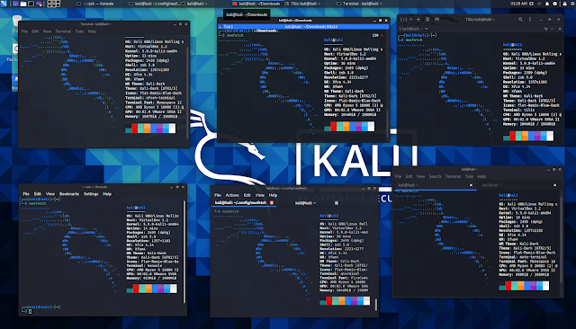 kali terminals