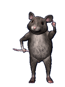 Rafel Rat 1