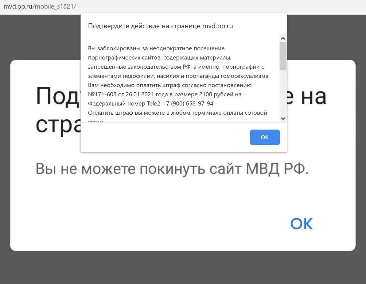 Browser lockers: extortion disguised as a fine 7 MVD fake sites 06