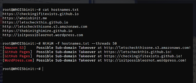 NtHiM - Super Fast Sub-domain Takeover Detection 4