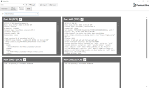 PentestBro_2_example-ccc-banner