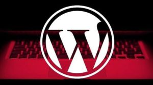 WordPress-Brute-Force_1