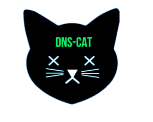 dns black cat 1 DNS Cat