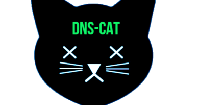dns black cat 1 DNS Cat