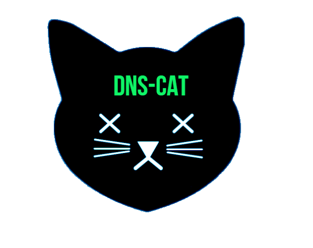 dns black cat 1 DNS Cat