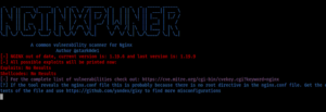 nginxpwner_1