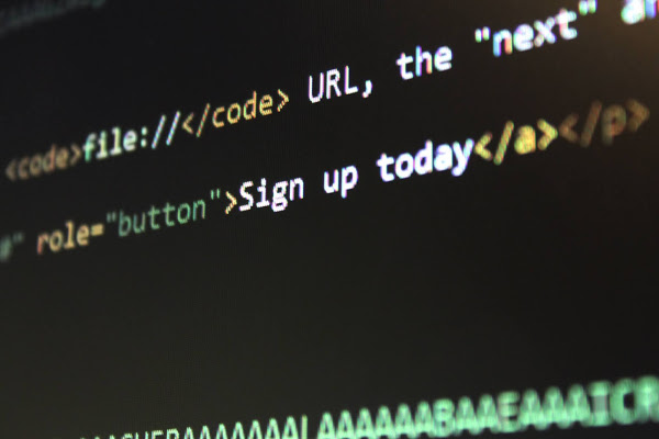 Python: Affected by Critical IP Address Validation Vulnerability 1 pexels pixabay 270408