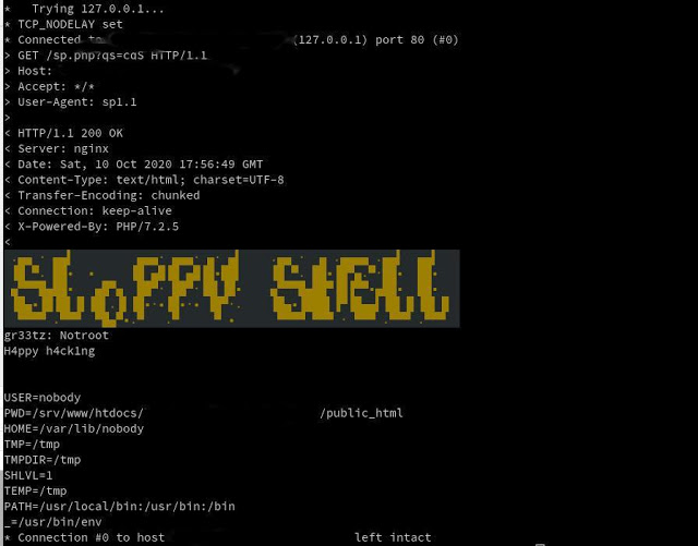slopShell 13 use in terminal