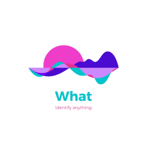 pyWhat 1 logo