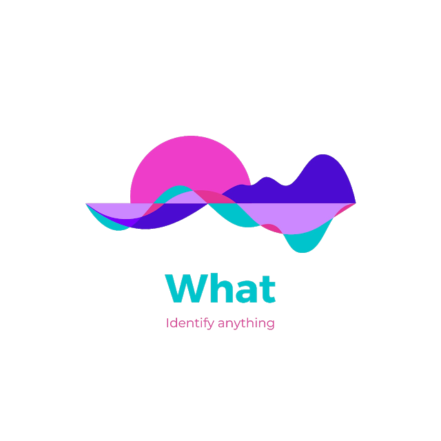 pyWhat 1 logo