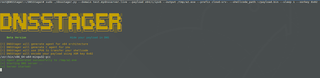 DNSStager 2 Starting DNSStager x64 ipv6 721322
