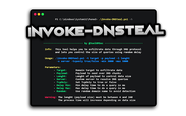 Invoke DNSteal 1 Invoke DNSteal 793871