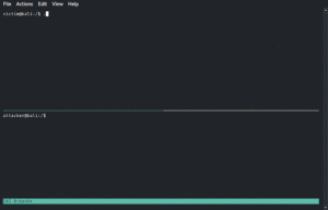 reverse-ssh_1_showcase-732935