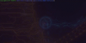 Nettacker - Automated Penetration Testing Framework 15 Nettacker_7