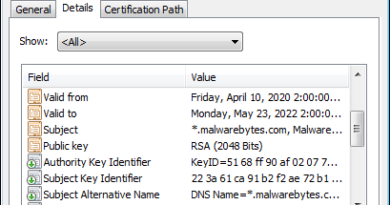 SSL certificate example