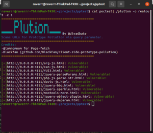 Plution - Prototype Pollution Scanner Using Headless Chrome 18 plution_1-714956
