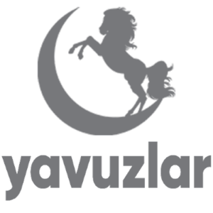 VulnLab_1-709904