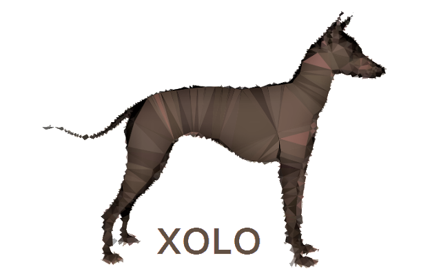xolo 1 xolo logo 725356